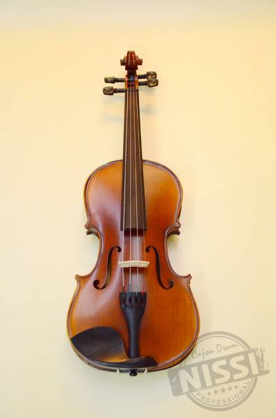 Violin Besd