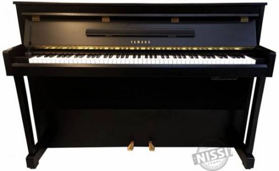 Piano điện cơ Yamaha Dup 10